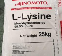 L-LYSINE 98,5%